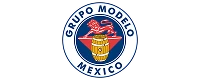 Logo de ine