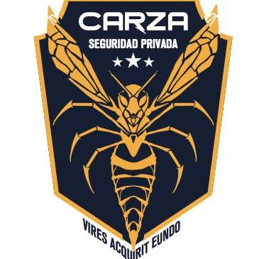 seguridad privada en morelia